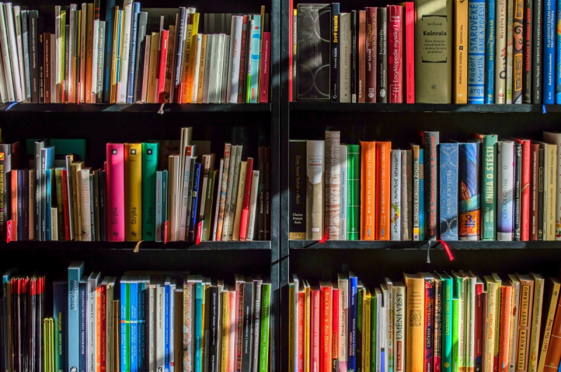 ecommerce-GONFARON-min_books_bookstore_book_reading_shop_writer_sale_books_read-822866